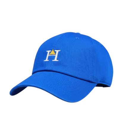 Designer Dad Hat | BLUE