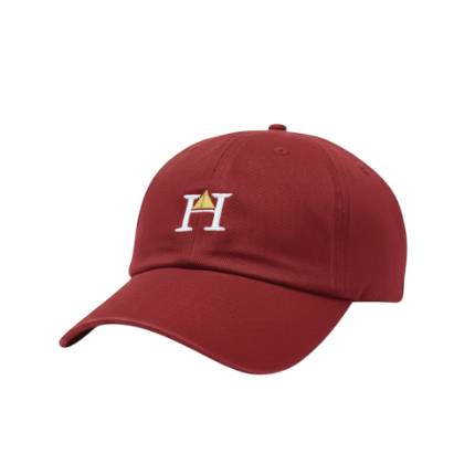 Designer Dad Hat | MAROON